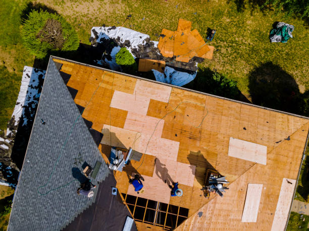 Quick and Trustworthy Emergency Roof Repair Services in Kaibito, AZ