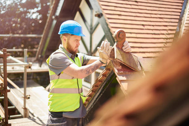 Best Roof Repair Services  in Kaibito, AZ
